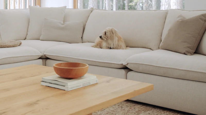 Chill Time 5-Piece Modular Sectional, Birch