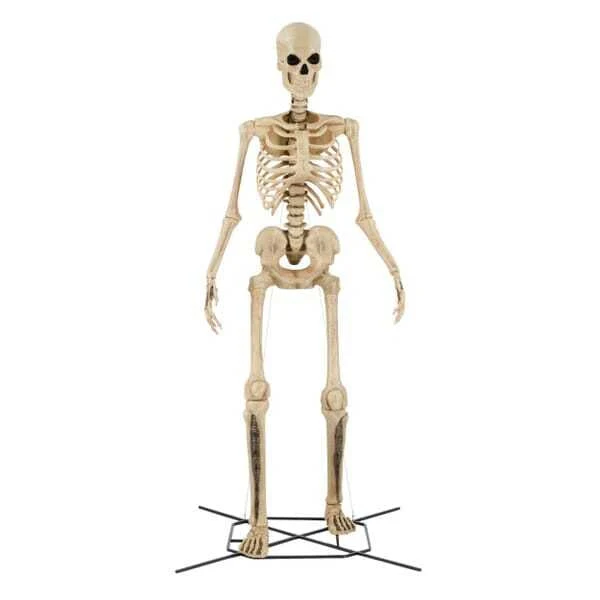 Giant-Sized Skeleton with LifeEyes LCD Eyes