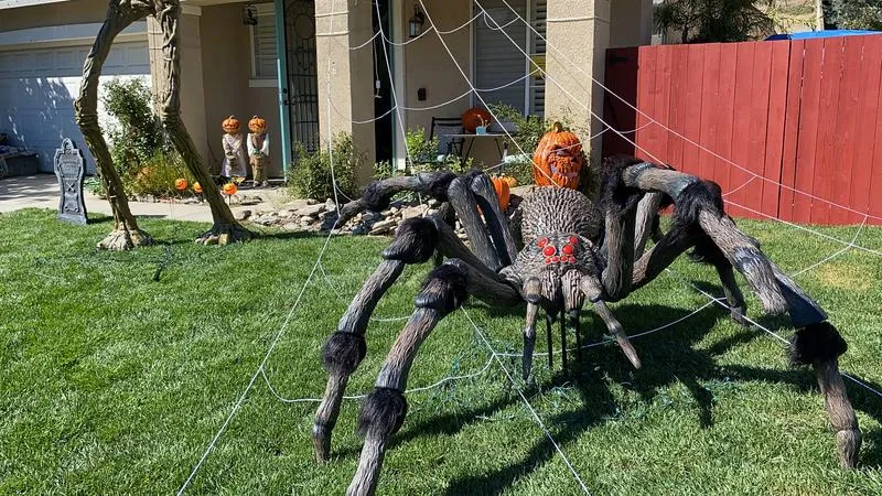 Giant-Sized Spider